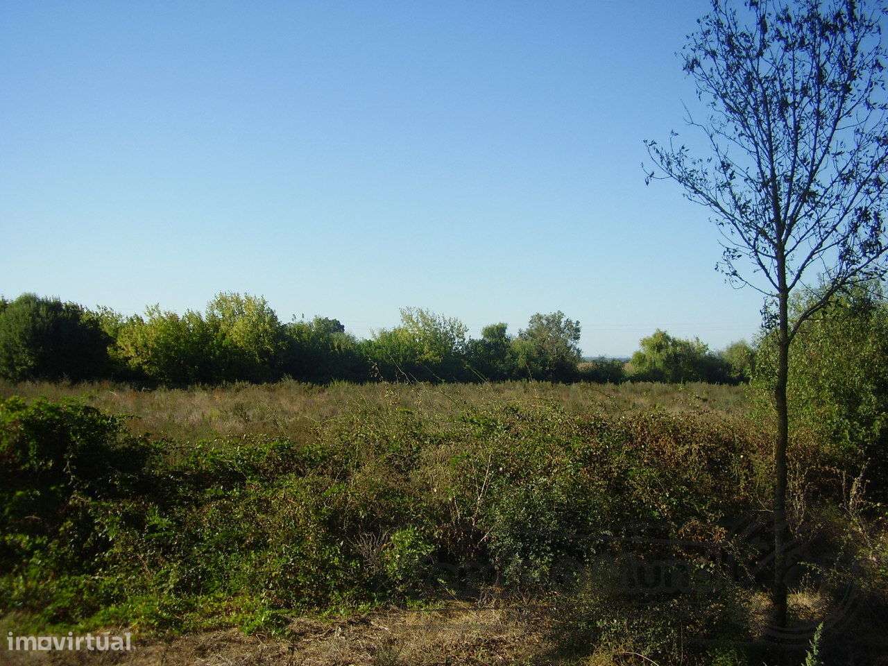 Terreno no Escaroupim (S287) - Grande imagem: 4/7