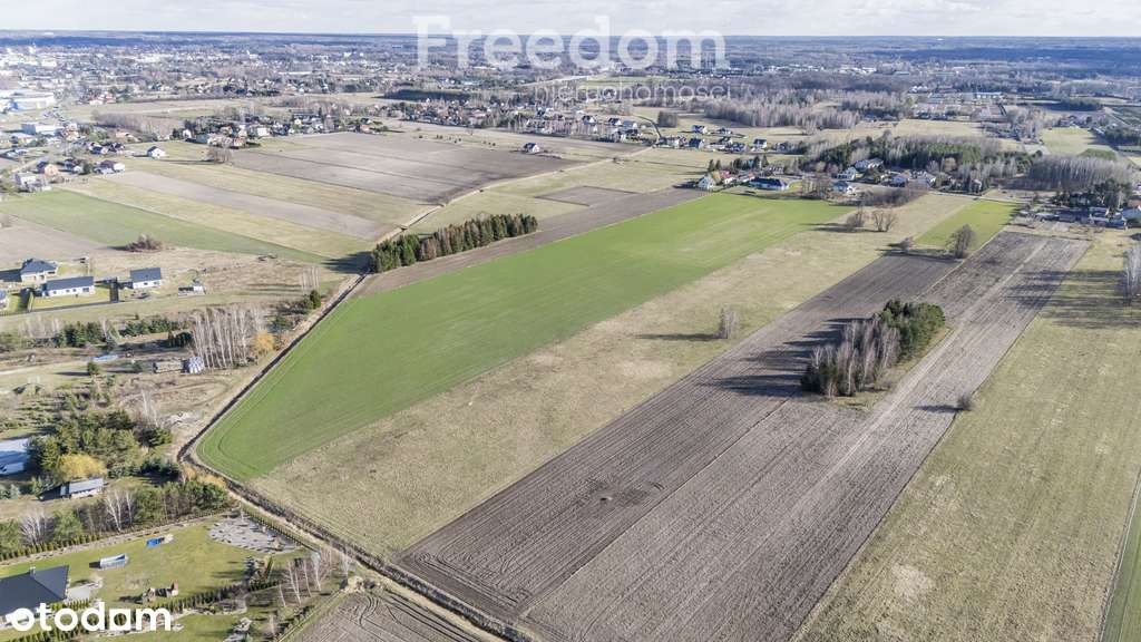 Działka 3.000 m2 k. Grodziska Maz. i terenow CPK - Pełny obrazek: 4/9