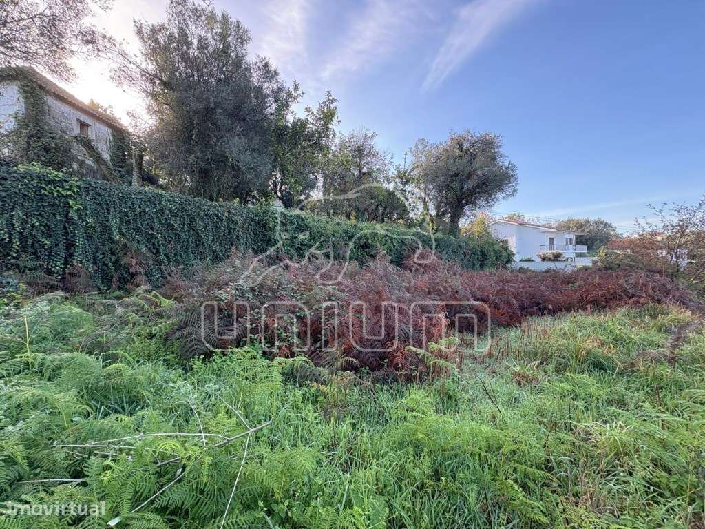 Propriedade para recuperar em Deão-13