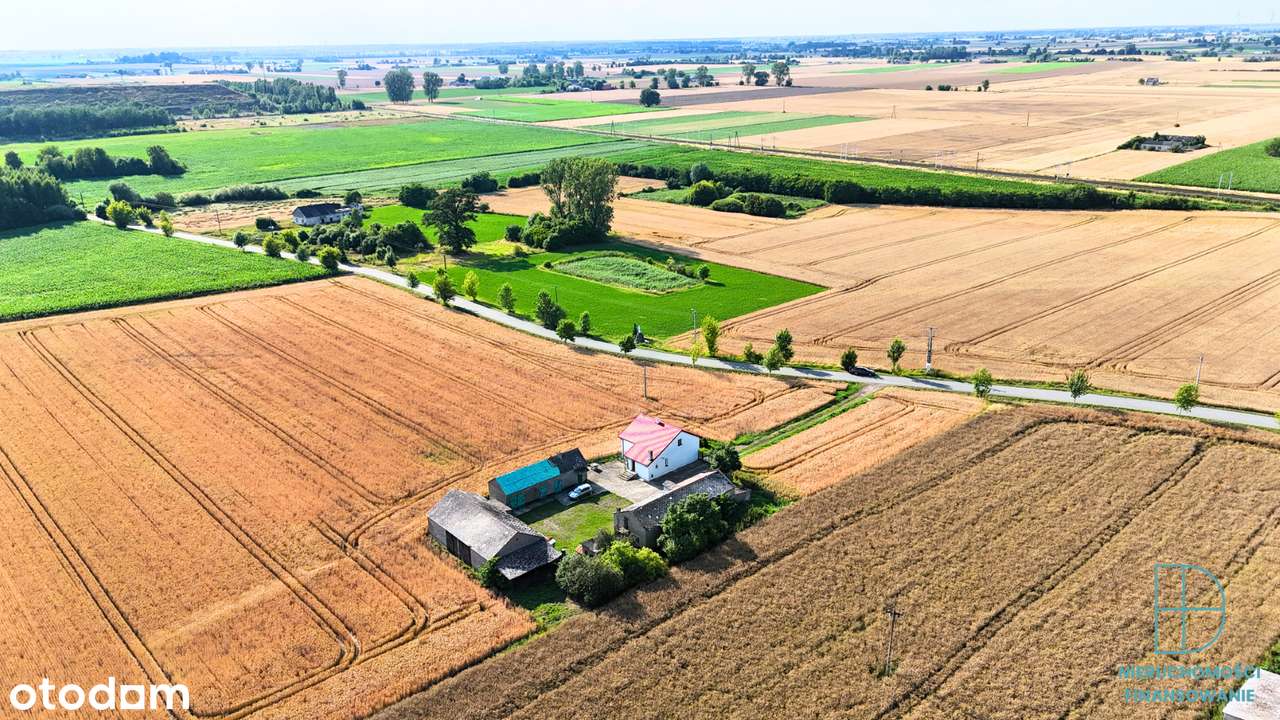 Dom z dużą działką 1,05 ha – Franki, gm. Krośniewice-5