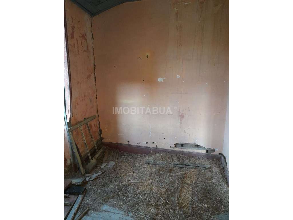 Quinta de Mirtilos com mais de 3 Hectares, localizada perto de Tondela-21