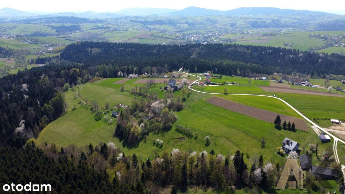 Gospodarstwo z zabudowaniami - Korzenna - Pełny obrazek: 2/11