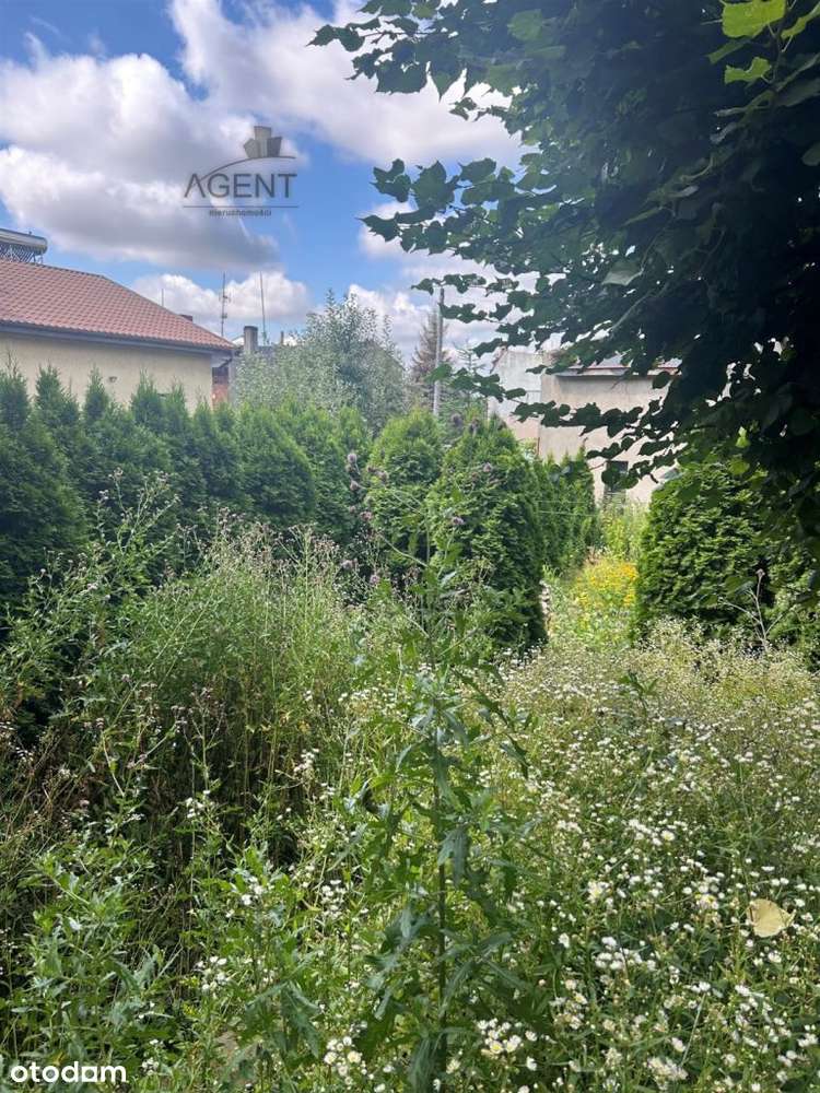 Kamienica w Centrum Mroczy! Wyłączność! - Pełny obrazek: 5/16