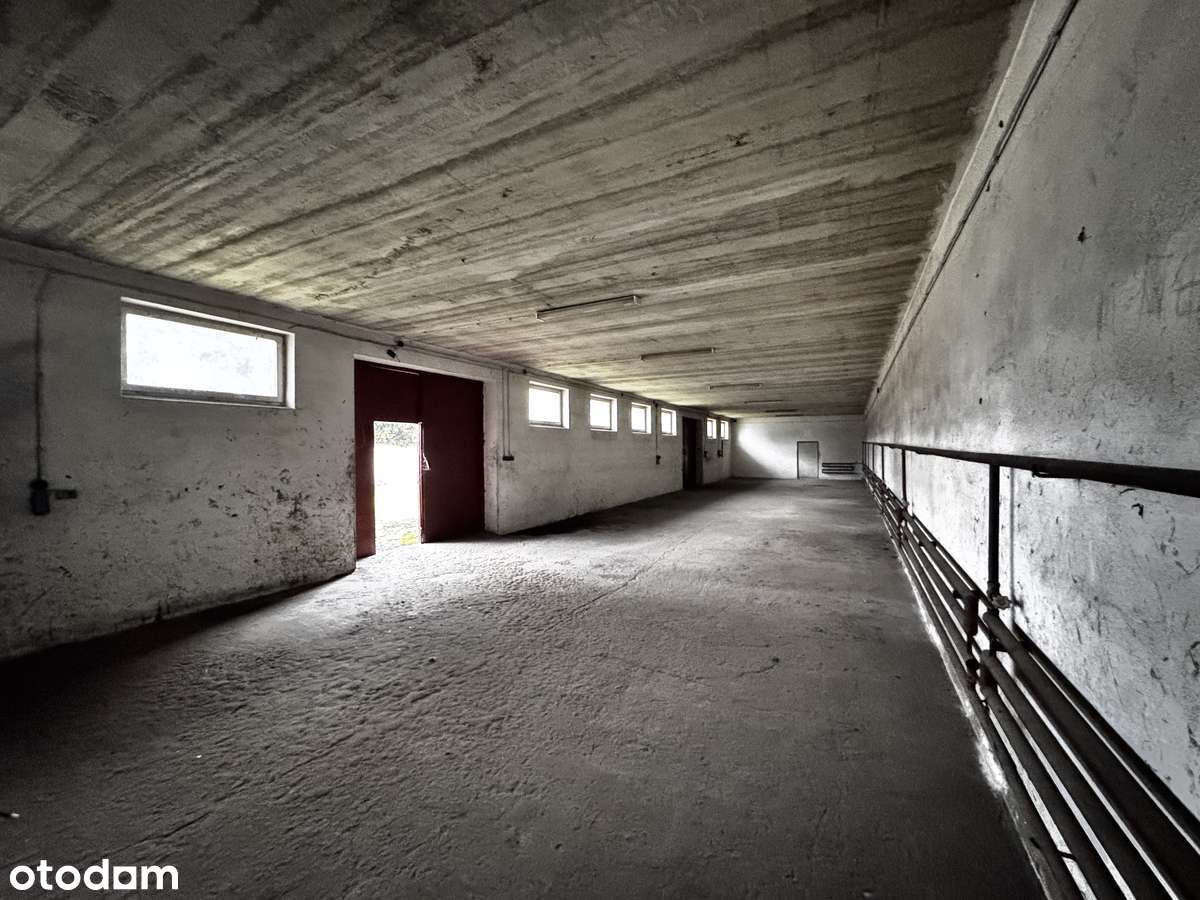 Hala/Magazyn, 320 m², Kłomnice-4