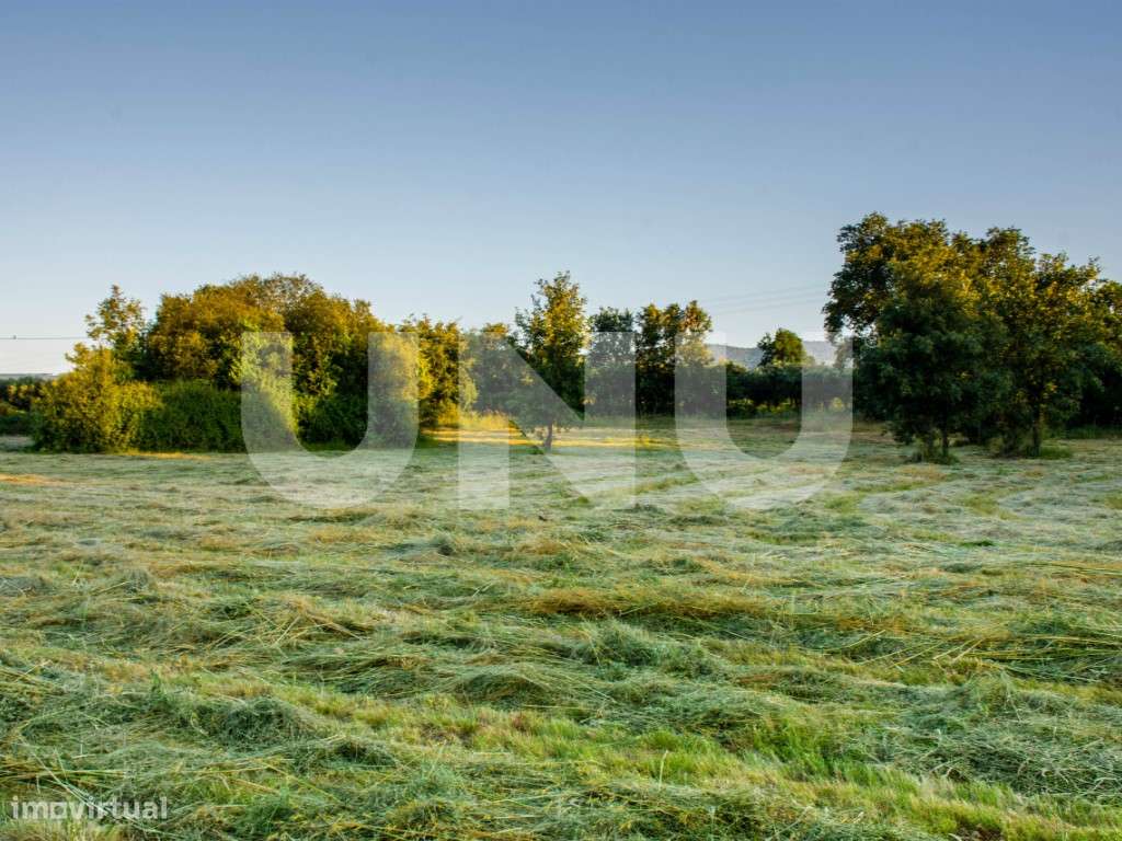 Terreno Rústico para venda nas Ínsuas, Fundão - Grande imagem: 3/7