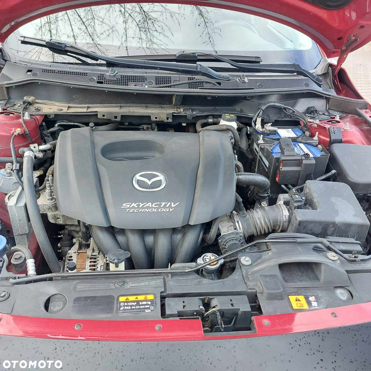 Mazda 2 - 5