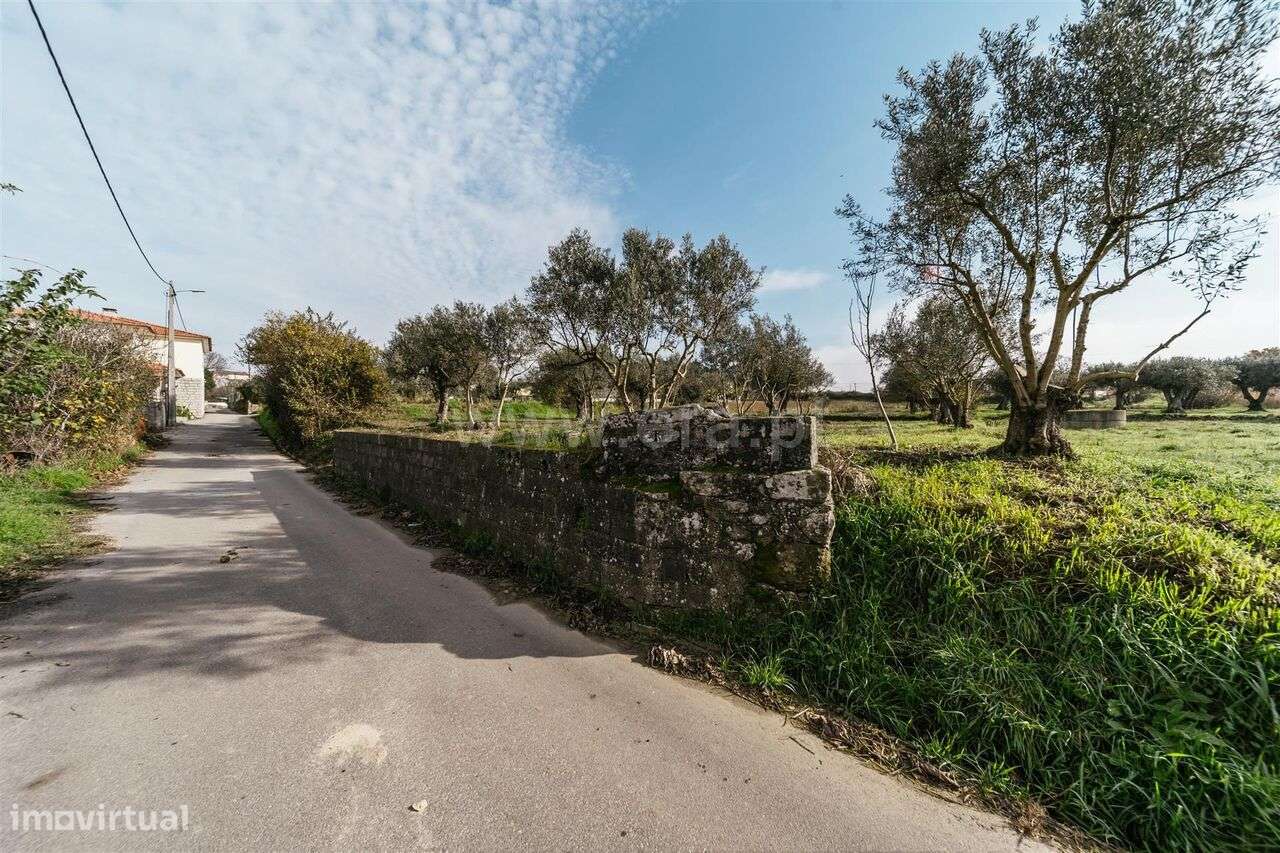 Terreno Rústico / Fundão, Alcaria - Grande imagem: 2/5