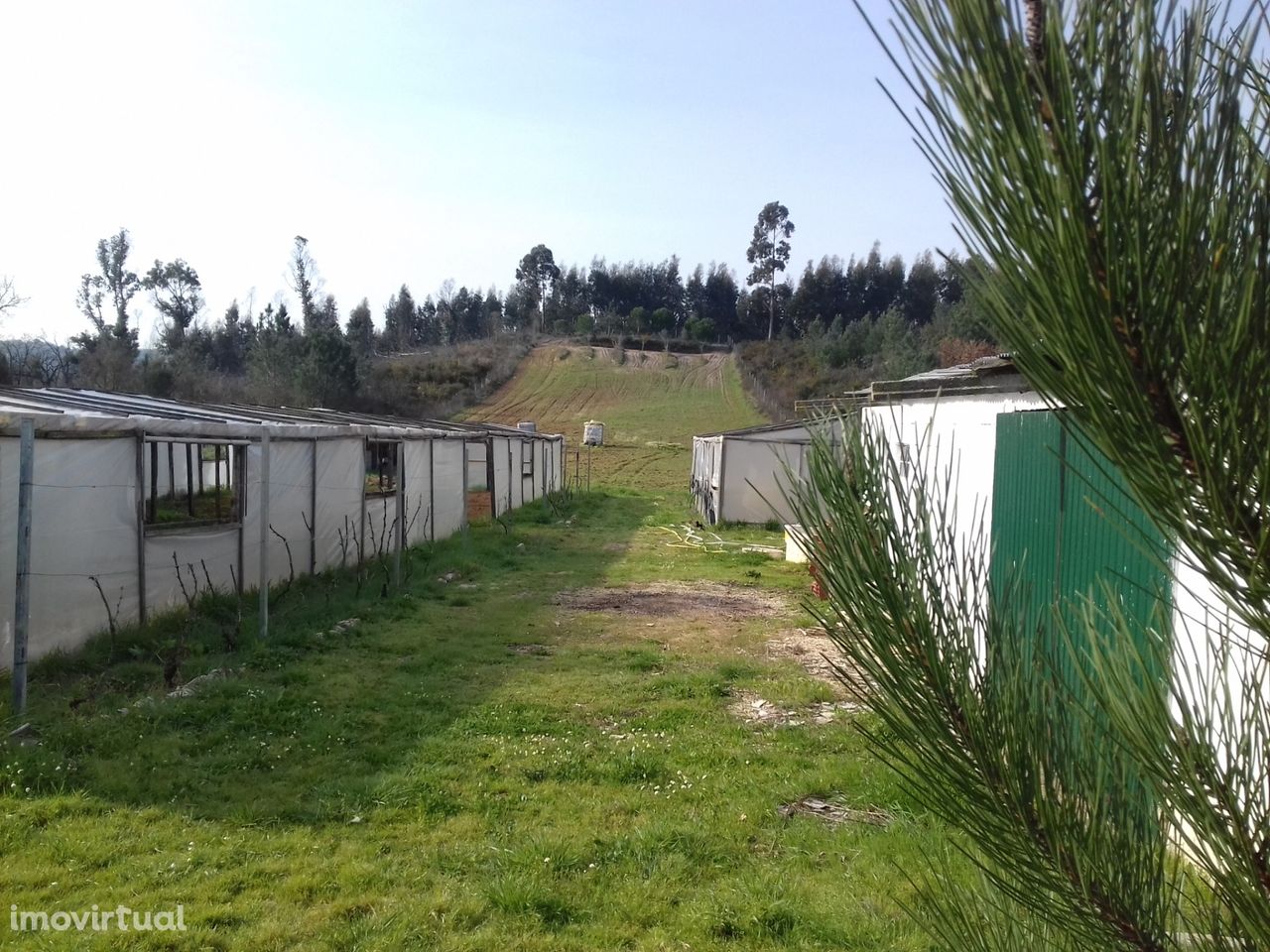 Terreno Agrícola ideal para Agri. Biológica