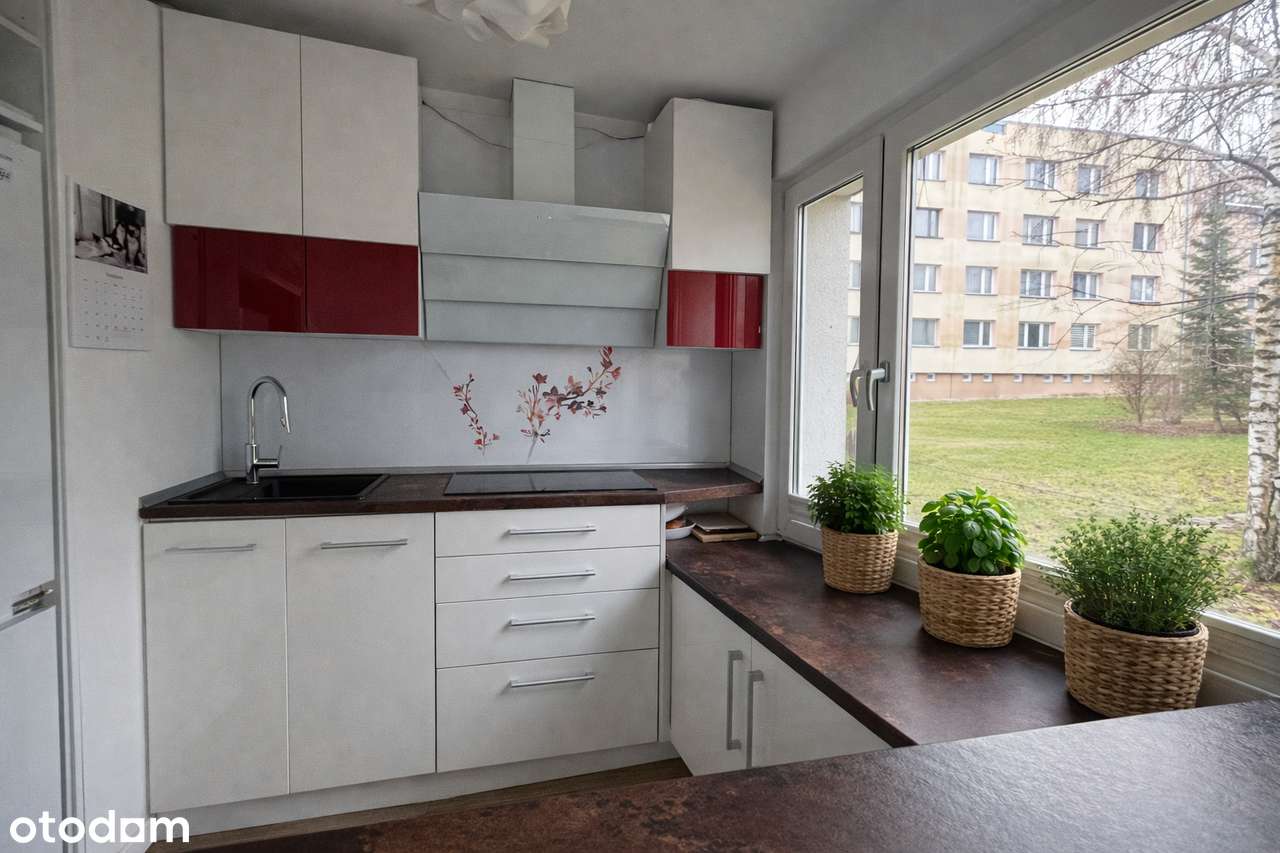 Cieszyn Banotówka | 80 m² • 3 pokoje • 2 balkony • wysoki parter - Pełny obrazek: 5/14
