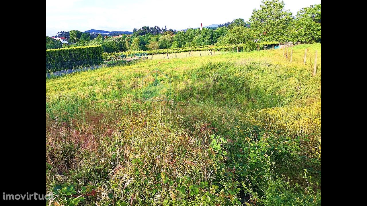 2 lotes de terreno para construção em Sto.Tirso com 1435 m2