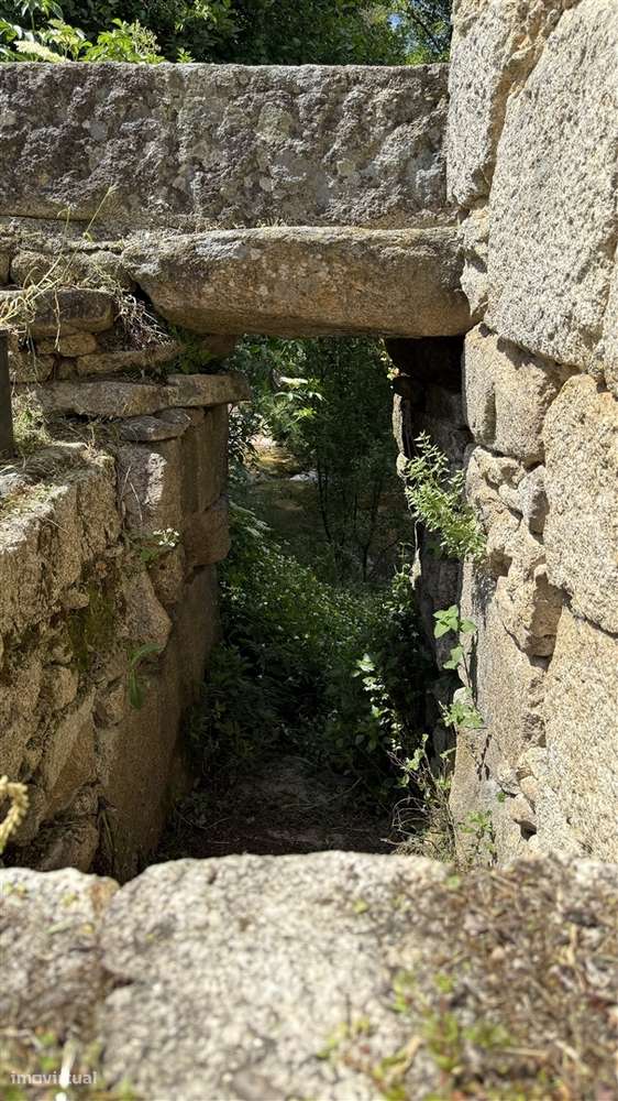 Moradia Isolada T3 Venda em Louriçal do Campo,Castelo Branco-11