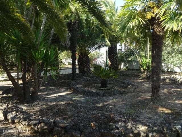 Quinta T/7 Cartaxo-37