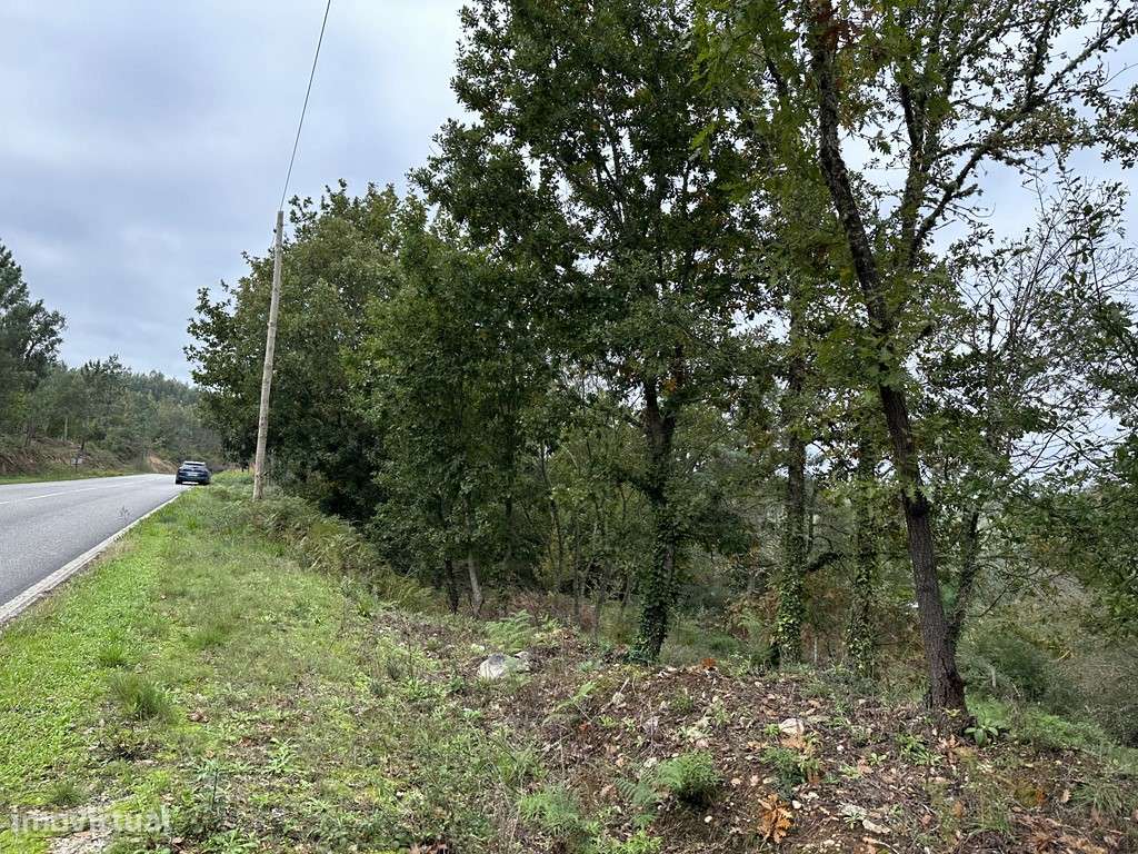 Terreno em Arganil, Arganil - Grande imagem: 5/9