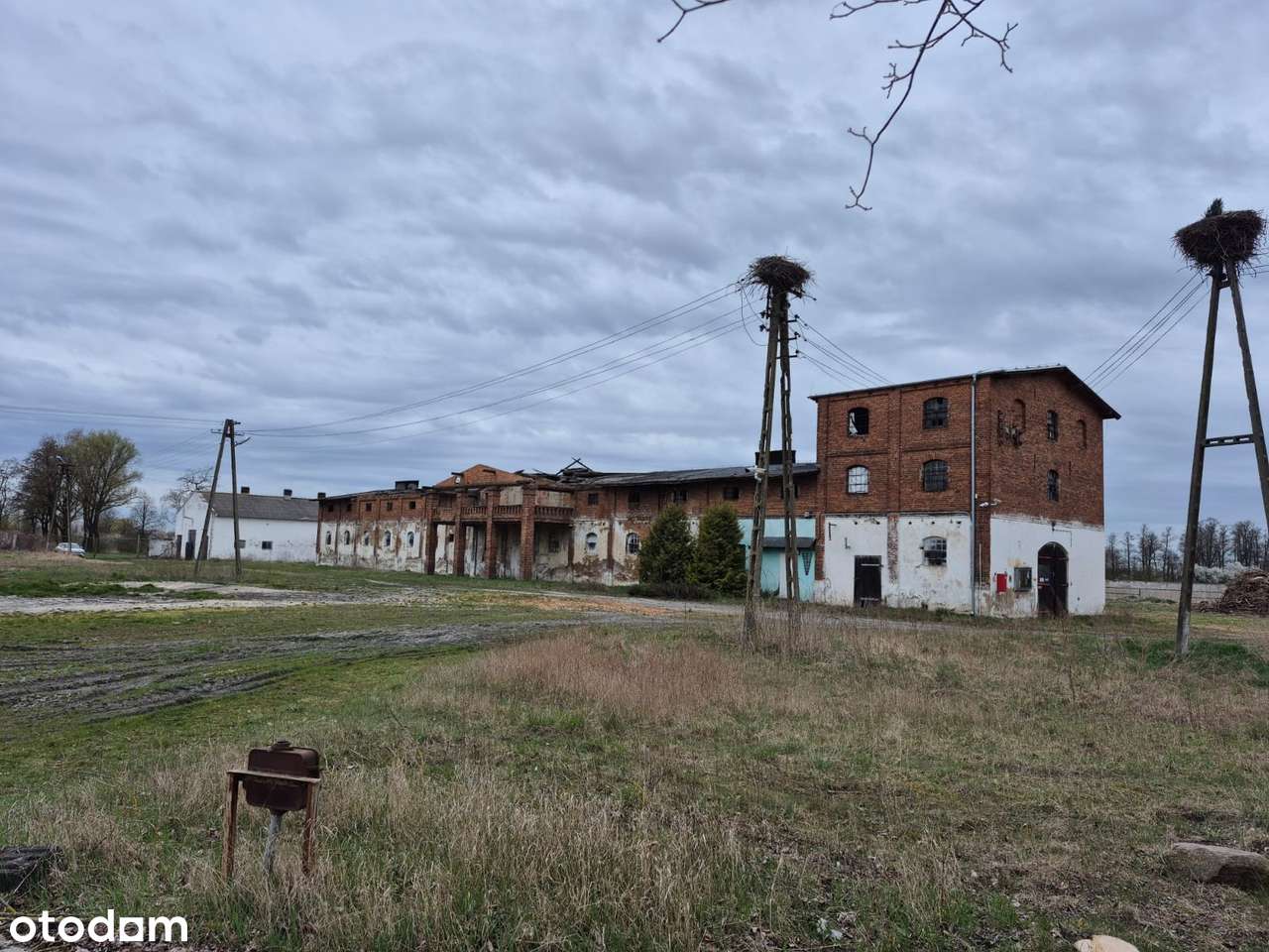 Działka rolna 9786 m² w cichej okolicy - Pełny obrazek: 5/6