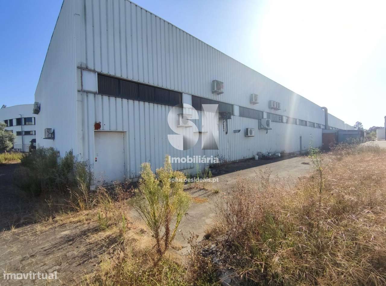 Armazém Santo Tirso - Grande imagem: 4/38