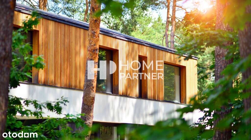 Przepiękna działka z sosnami MPZP, możliwy podział-4