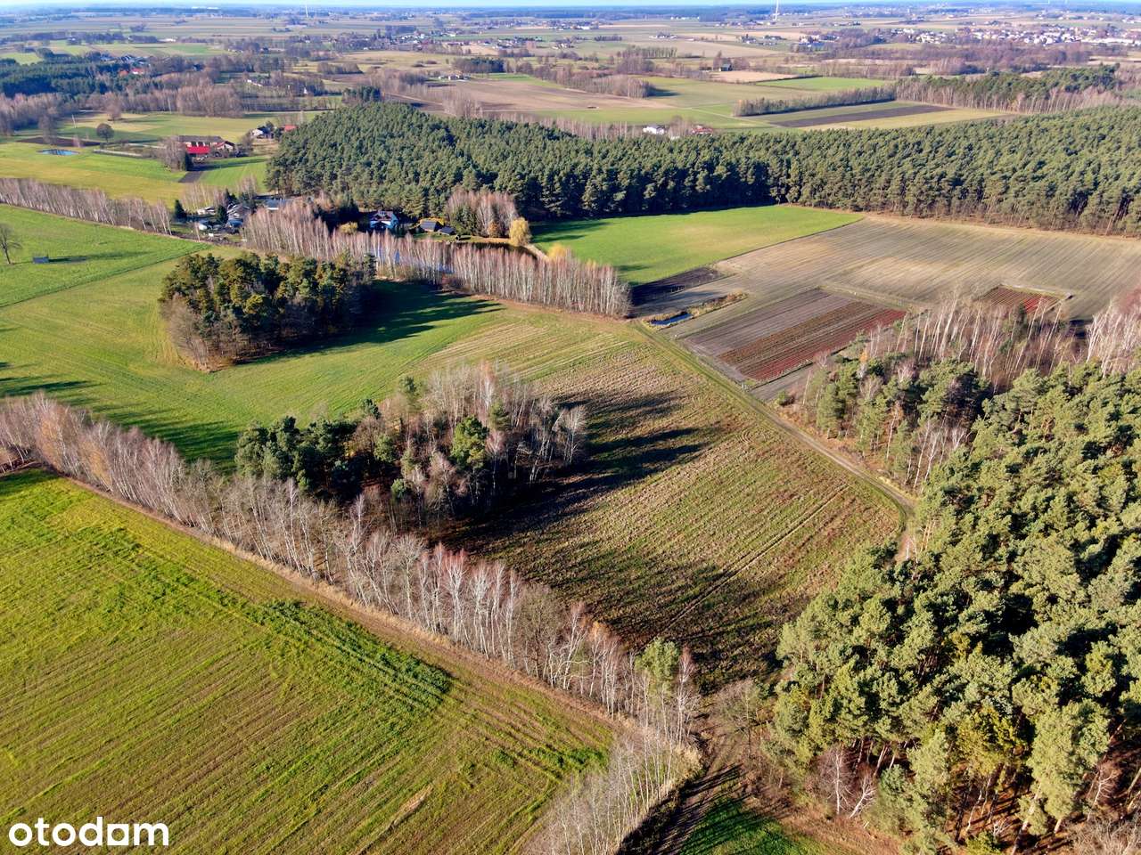 Działki budowlane Nowa Plewnia, gm. Ceków-Kolonia - Pełny obrazek: 5/9