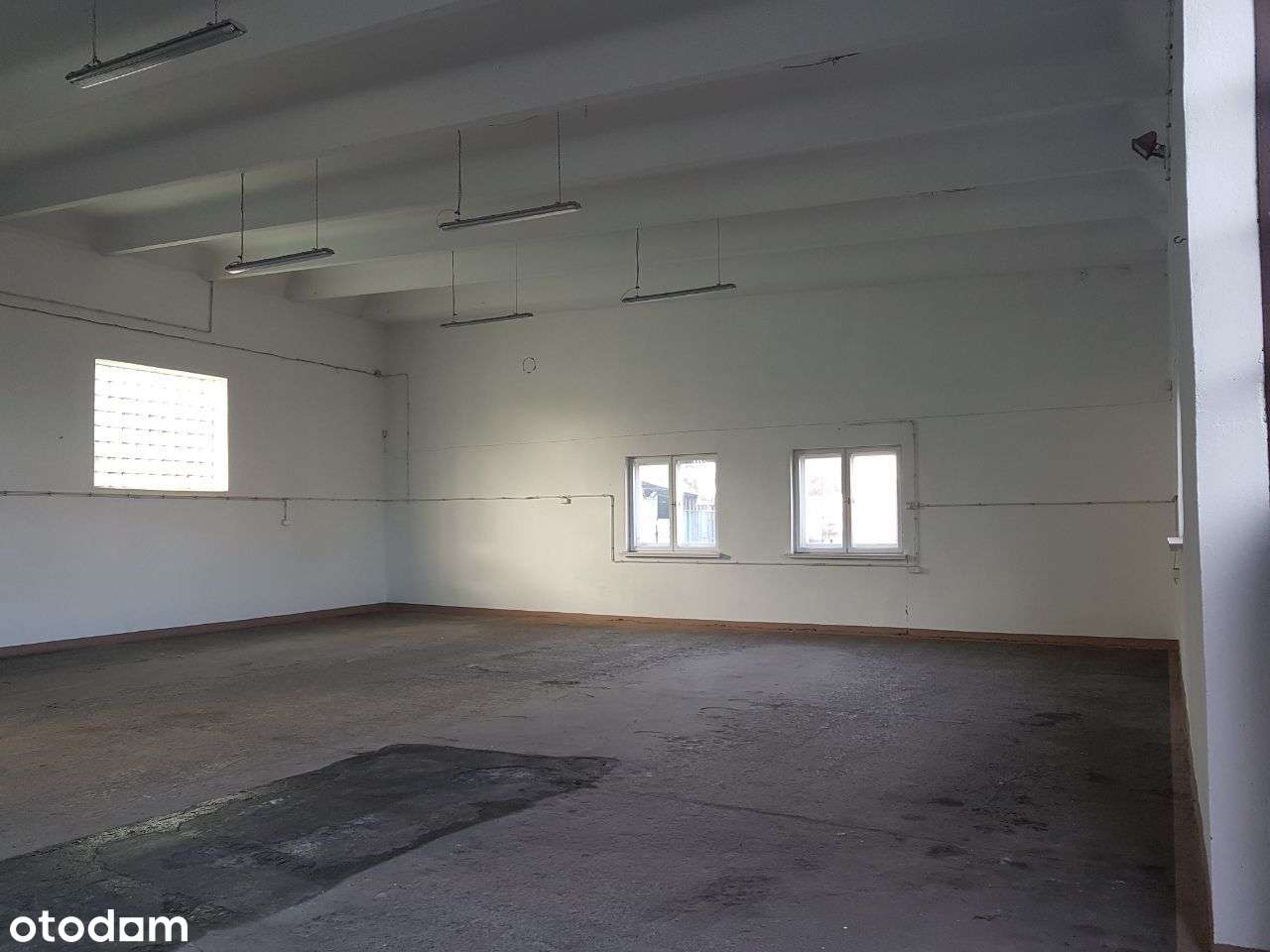 Hala Magazyn Rawicz-Sierakowo blisko drogi S5 - Pełny obrazek: 5/9