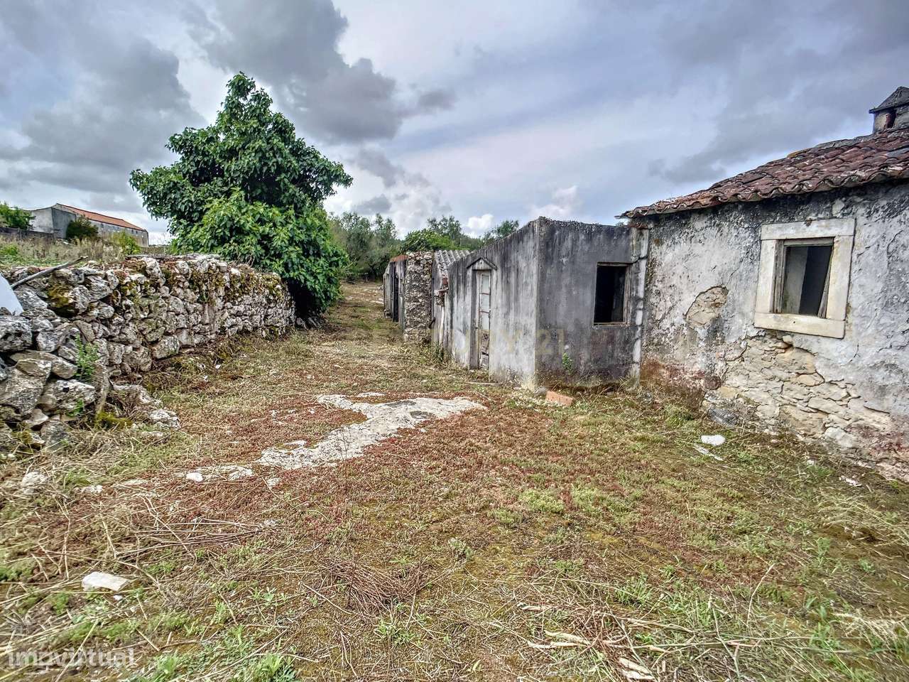 Terreno com Casinhas para Reabilitar! - Grande imagem: 5/51