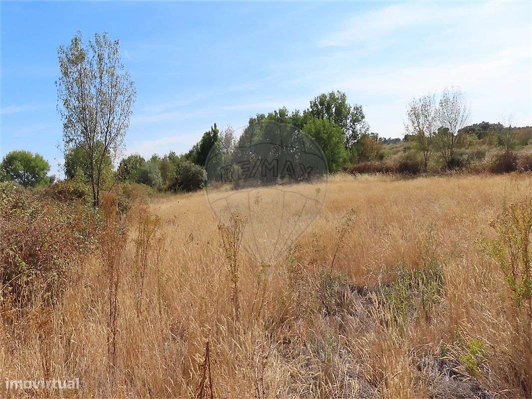 Quinta  para venda-14