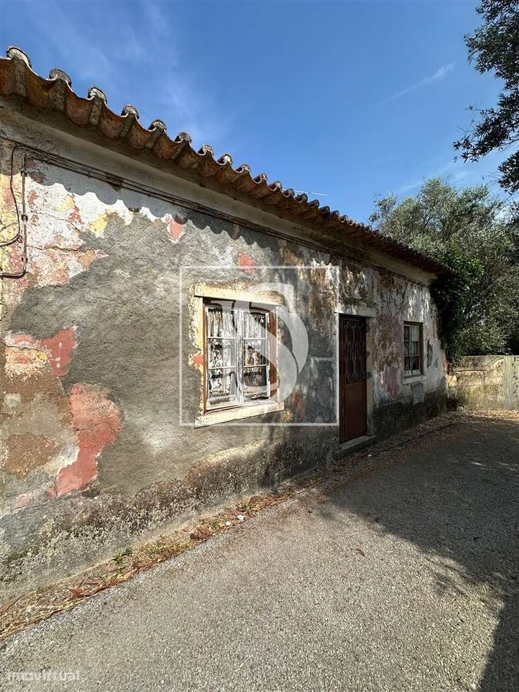 CONJUNTO DE 4 HABITAÇÕES EM ZONA URBANA — LOCALIZAÇÃO PRIVILEGIADA-9