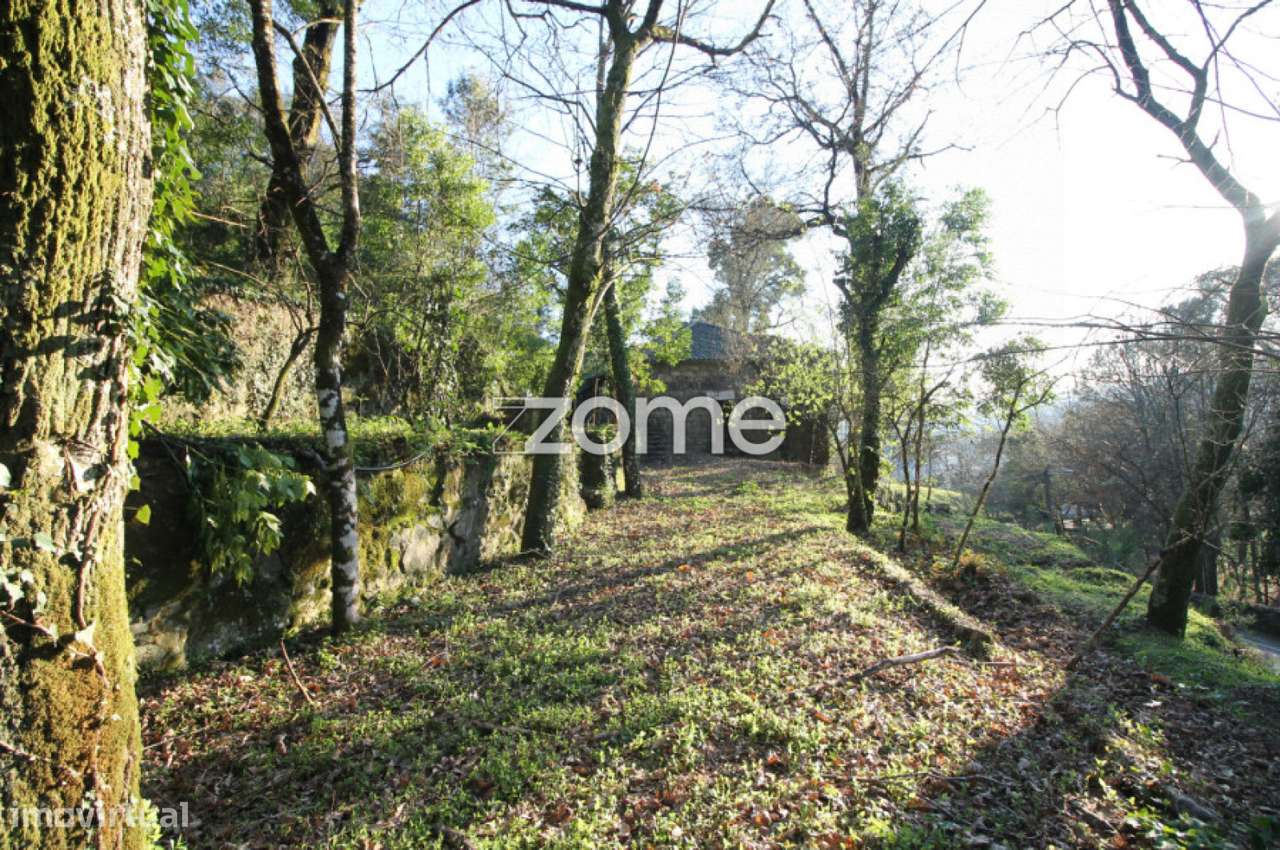 Moradia Ruína em Briteiros - Grande imagem: 5/13