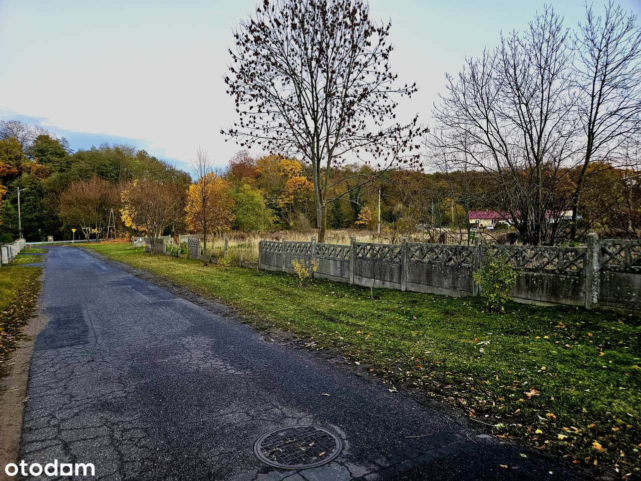 Działka 13 arowa - Stara Rudna.-10