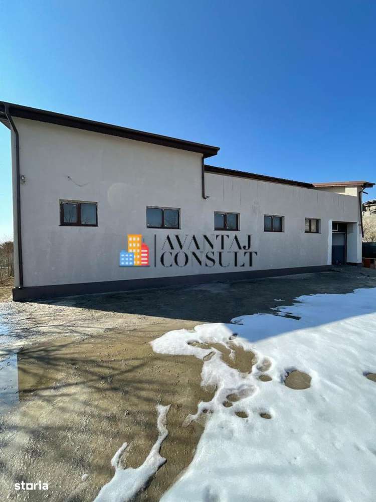 Vanzari Spatii Comerciale mixt hală și birouri-3