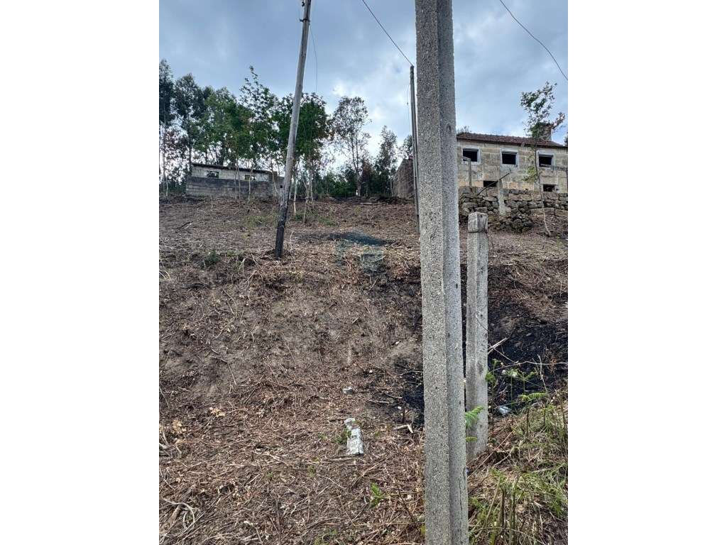 Quinta com Potencial em Marco de Canaveses-20