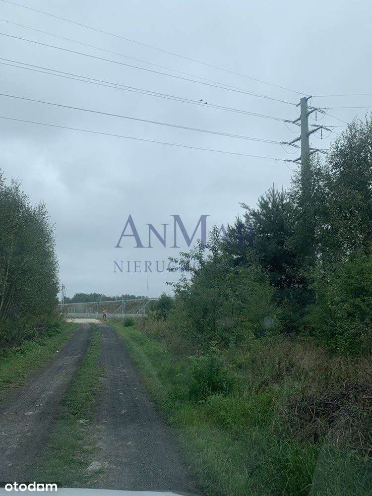 Działka, 11 135 m², Kotorydz-11