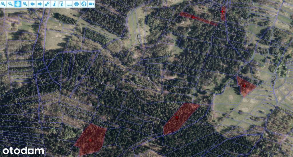 Działki leśne o powierzchni 2,18 ha - Pełny obrazek: 4/4