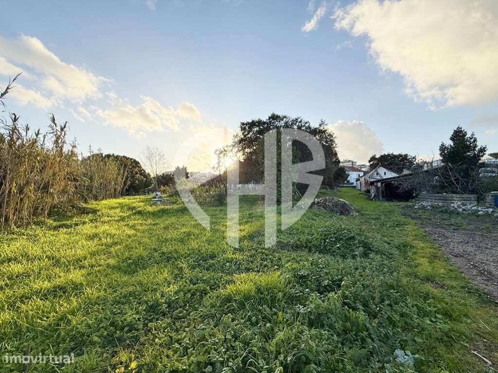 Moradia T3 + Área Terreno 4.150m2 + Atracadouro // P/Recuperar-47