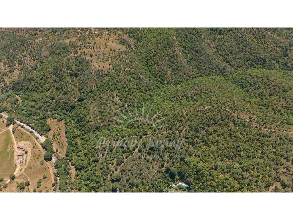 Propriedade Rústica de Montado com Ribeira | 22,6 Hectares | Serra ...-10