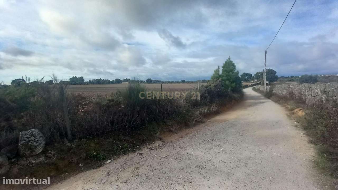 Terreno Rustico com 13500 M2 Lardosa - Grande imagem: 3/13
