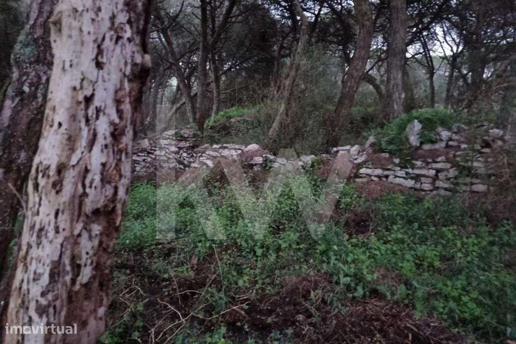 Terreno Rústico (1480m2) para venda em São João das Lampas - Grande imagem: 4/7