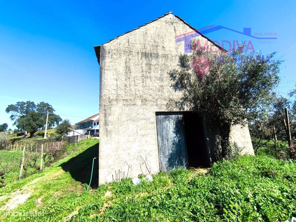 Quinta com mais de um héctar de terreno, em Graça, Pedrogão Grande-6