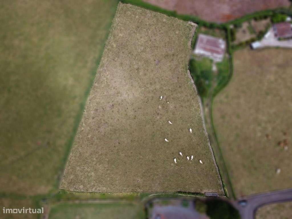 Terreno em Covões, São Pedro, Vila do Porto - Santa Maria - Grande imagem: 4/21