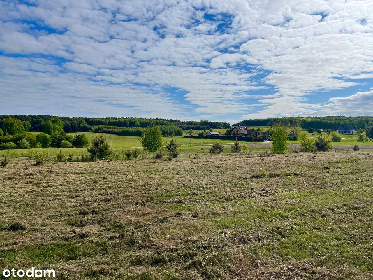 Działka budowlana - Czostków-6