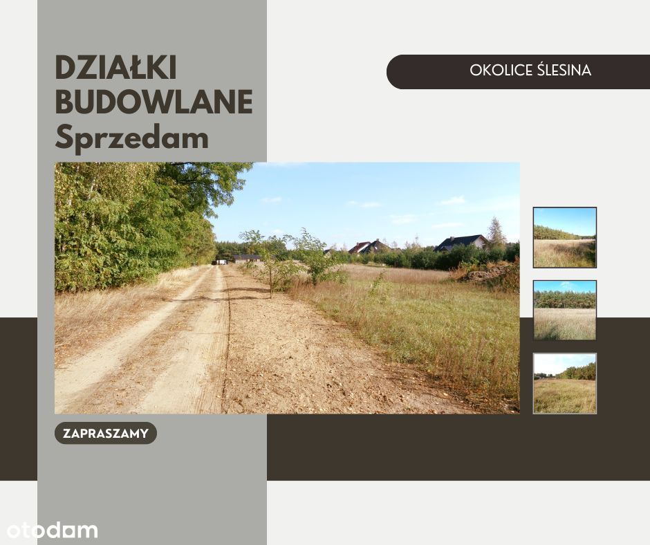 Okolice Ślesina – Działki Budowlane