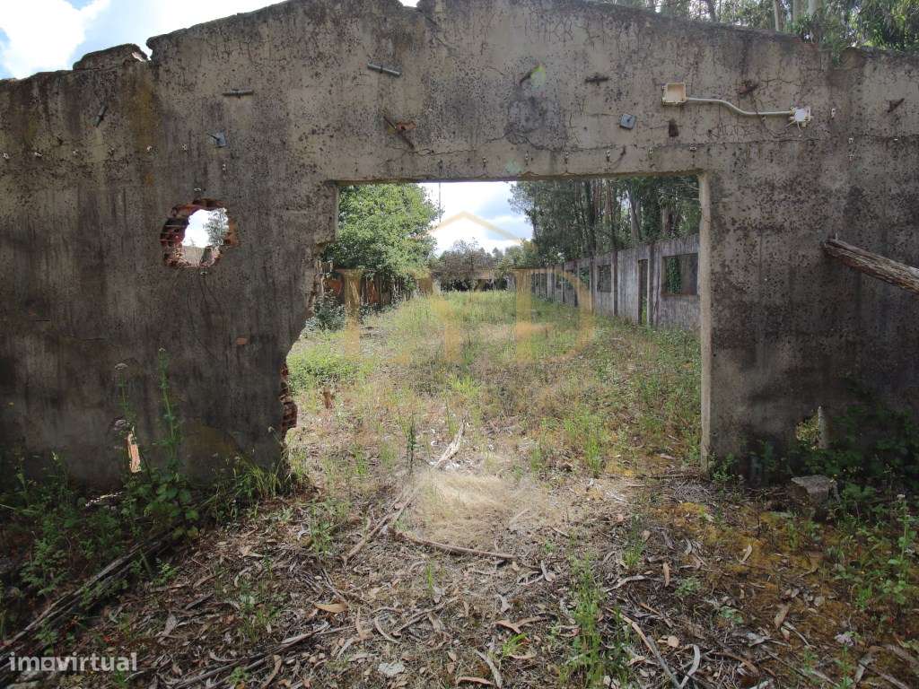 Armazém para venda em Amoreira da Gândara, Anadia | Antigos aviário...-17