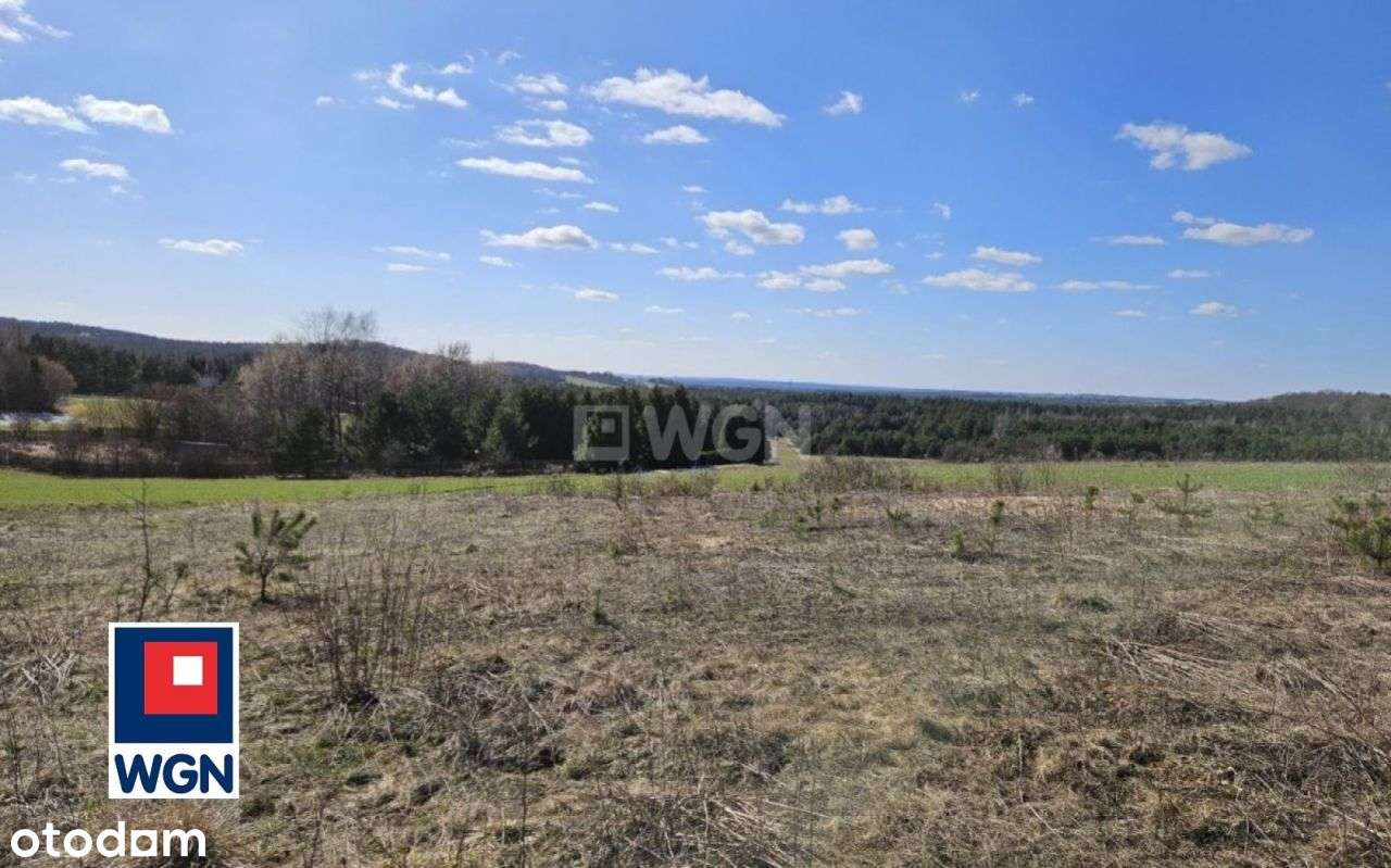 Widokowa działka siedliskowa na Jurze - Pełny obrazek: 5/13