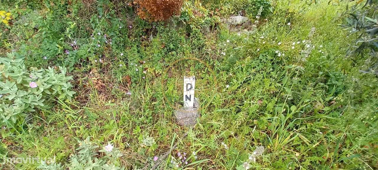 Terreno Rústico com Alfarrobeiras e Amendoeiras - 4860 m² de Natureza - Grande imagem: 5/8