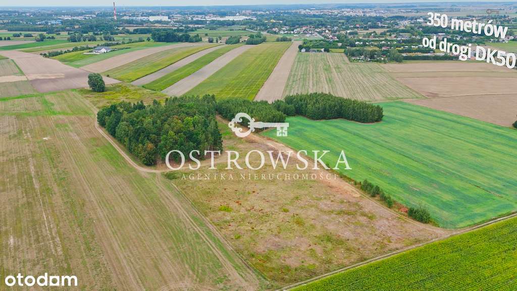 Działki budowlane obok lasu Nużewo - 95 zł/m2!!! - Pełny obrazek: 4/8