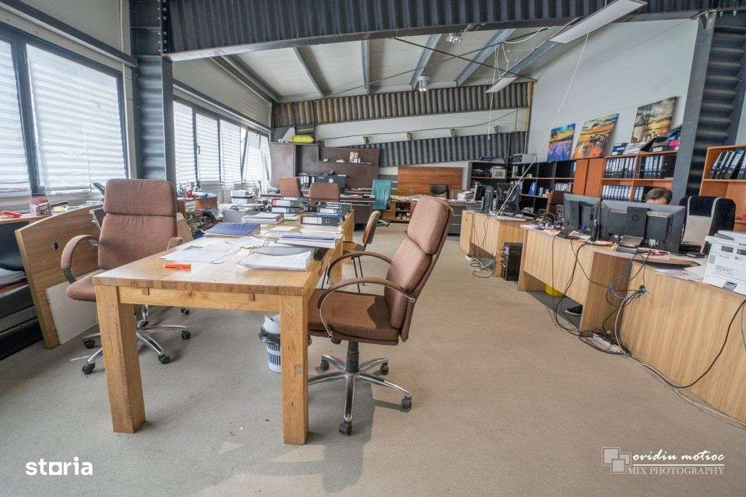 Hale in parcul Tetarom I-6