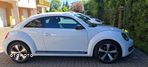 Volkswagen Beetle - 29