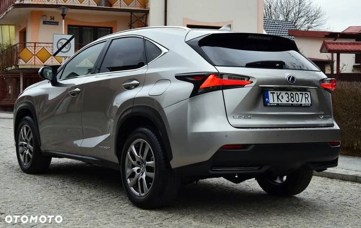 Lexus NX - 13