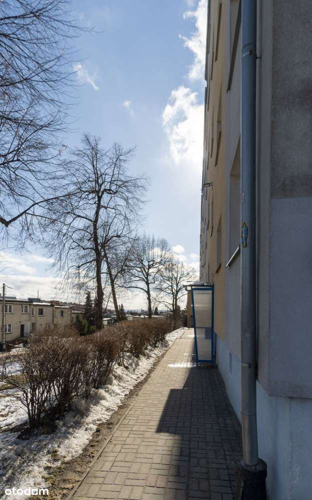 Blisko lasu, parter-13