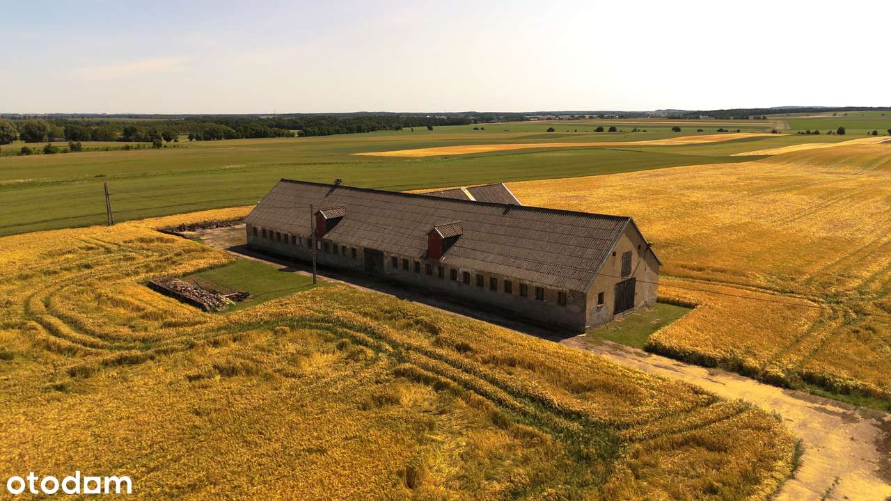 Gospodarstwo rolne 8,17ha ziemia kl 3 i 4/stodoła 445m2/dom/Ciężkowo - Pełny obrazek: 5/16