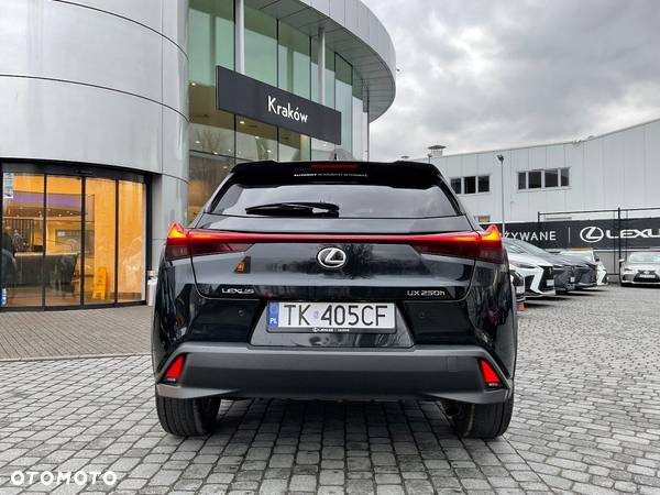 Lexus UX - 10