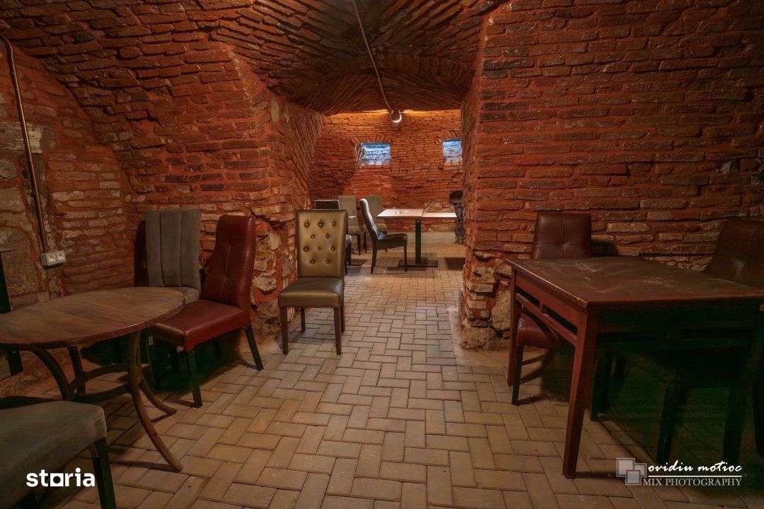 Spatiu comercial ultracentral-7